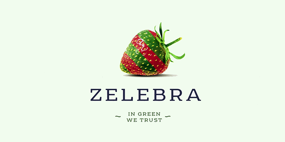 Разработка стратегии маркетинга вег-ресторанов ZELEBRA, разработка дизайна Tough Slate Design (КИЕВ)
